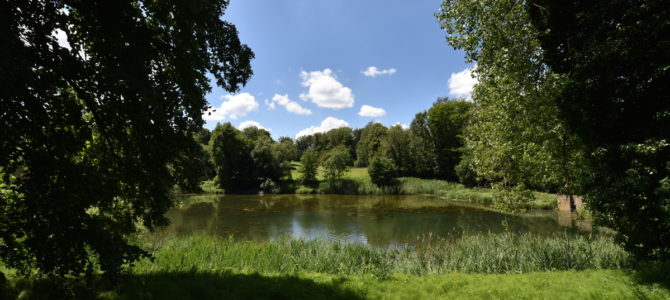 Elèves, parents et professeurs en Forêt de Soignes Elèves, parents et professeurs en Forêt de Soignes