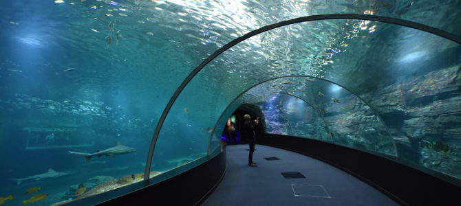 Nausicaa et côte d’Opale Nausicaa et côte d’Opale