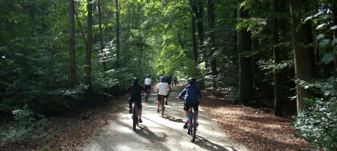 Journée sportive des 2e – Octobre 2023 Journée sportive des 2e – Octobre 2023